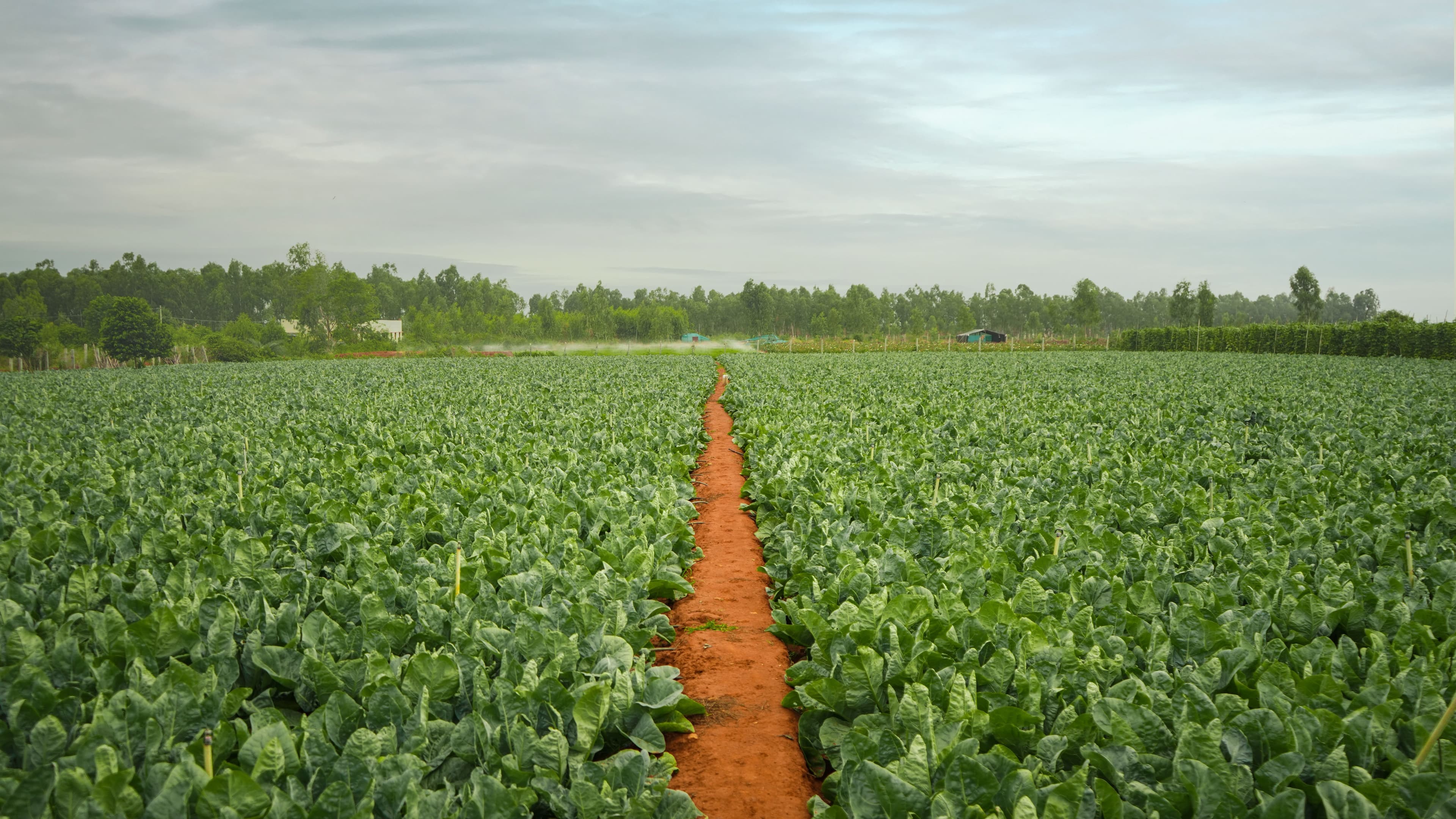 Kwa'ada Farms image 3 of 3